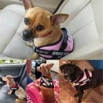 No-pull Dog Harness Outdoor Adjustable Adventure Pet Vest Padded Handle Walking Dog Supplies